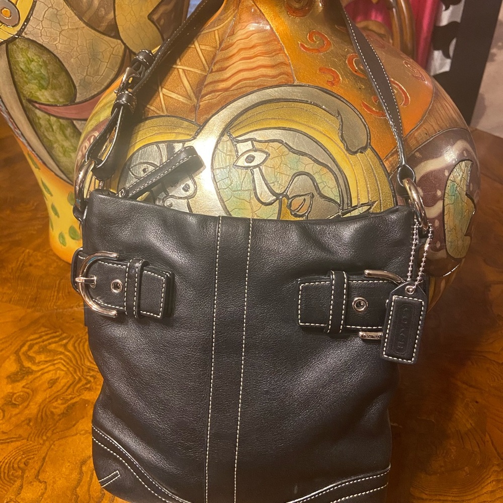 Beautiful small Coach leather.